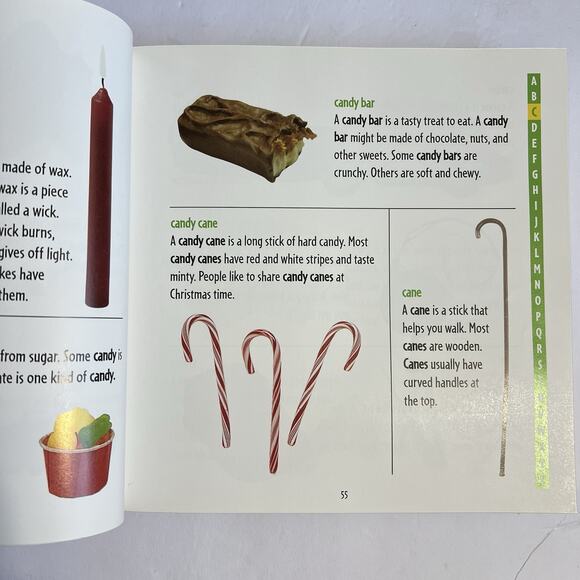 Picture Dictionary Over 1000 Words Photographs and Definitions Childrens Book - Picture 4 of 9